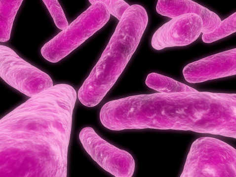 New Probiotic Manufacturing Process Investigated | WholeFoods Magazine