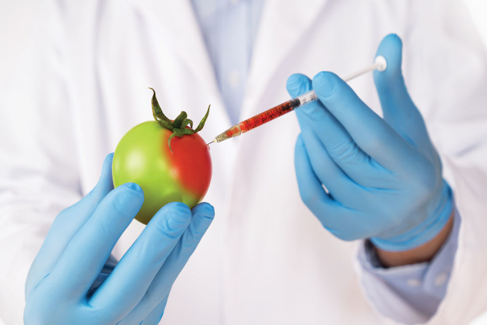 The SynBio Epidemic Secretly Sweeping the Nation | WholeFoods Magazine