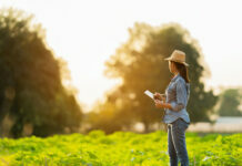 Farmer looking over organic fields.