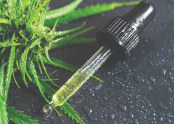 Hemp plant and pipette with a CBD oil on wet metal surface