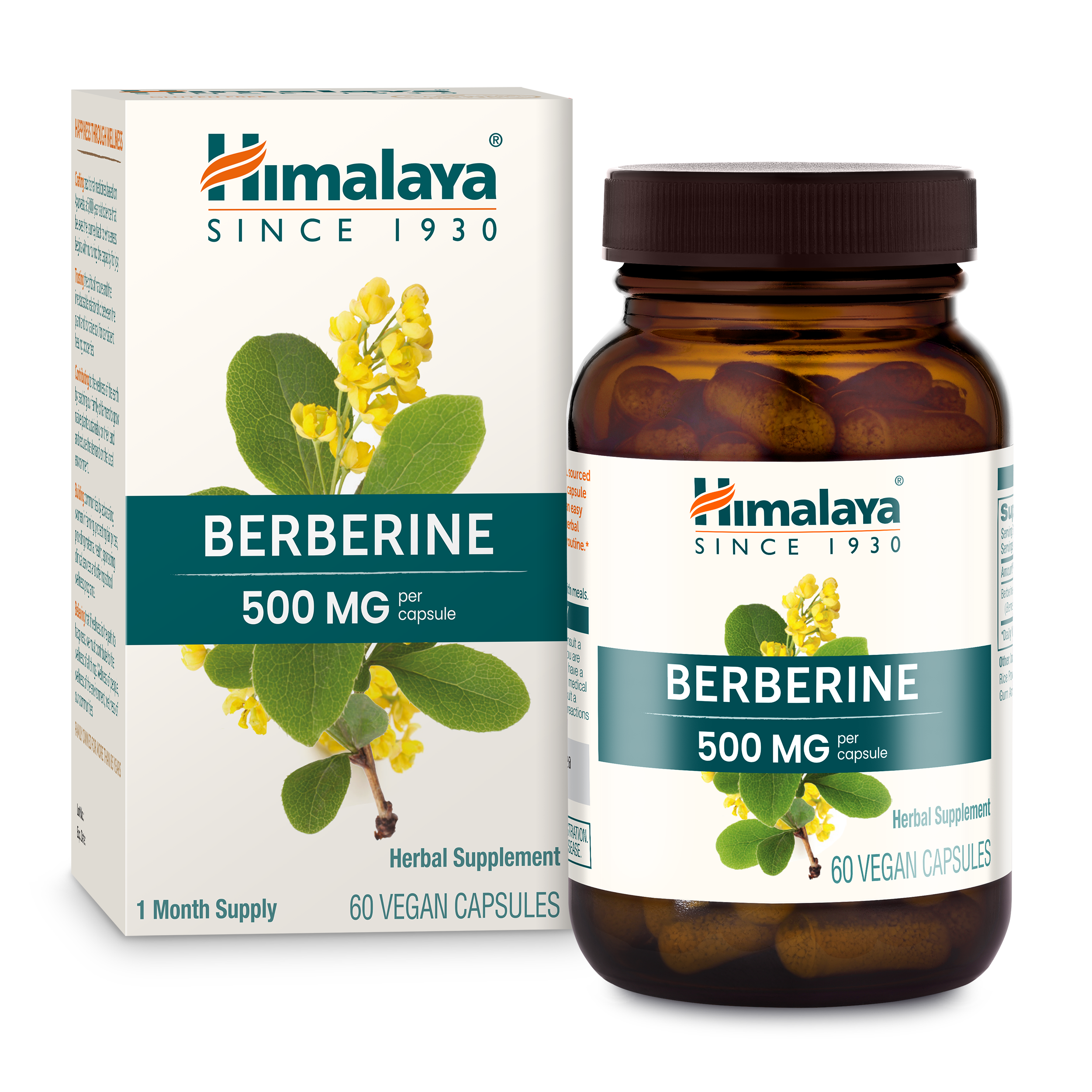 Berberine 60ct - Carton and Bottle.png