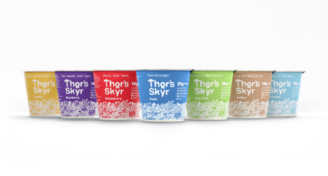 Thor'sSkyr.png