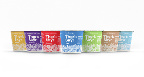 Thor'sSkyr.png