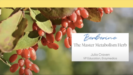 Enzymedica-Berberine-Webinar-2023.png