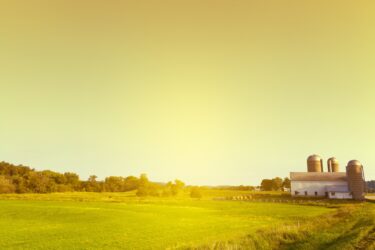 Countryside Farm in the morning