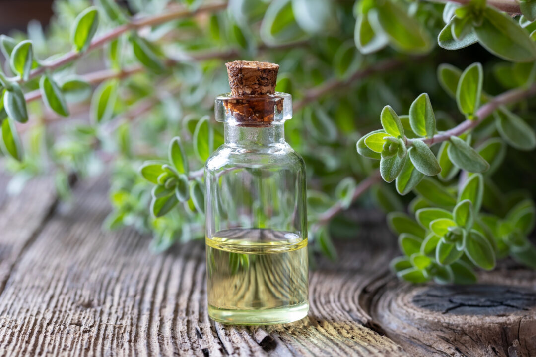 Marjoram-Fresh-Oils-GettyImages-1145485820.jpg