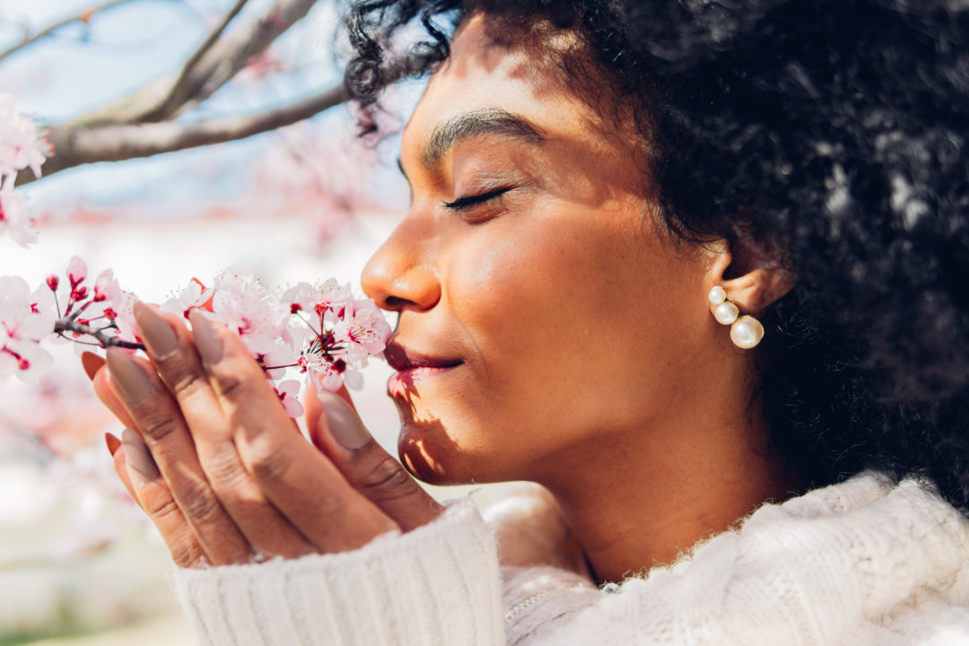 Beautiful African American woman smelling the soft, fresh and natural scent of pink flowers in spring in bloom.