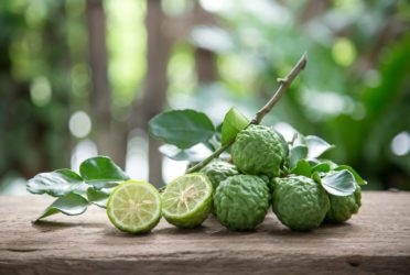 Bergamot, citrus herb, leaves used in cooking to add aroma on blur background.