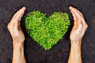 hands holding green heart shaped tree / tree arranged in a heart shape / love nature / save the world / heal the world / environmental preservation