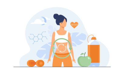 Metabolic process of woman on diet. Digestion system, food energy, hormone system flat vector illustration.