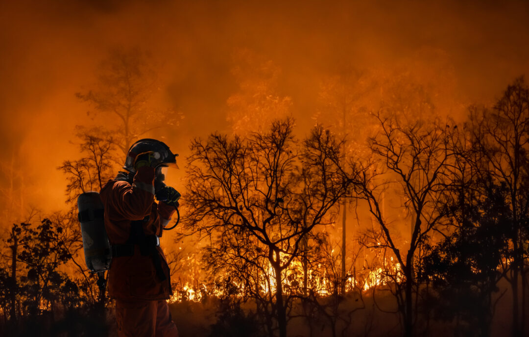 Wildfire-GettyImages-1451980567.jpg