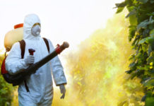 pesticides Atrazine