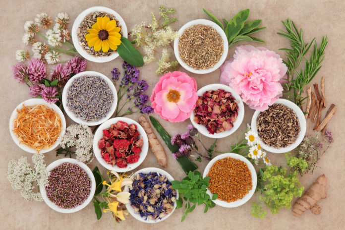 healing herbs and flowers