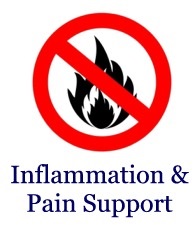 Pain Support