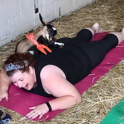 Goat Yoga in a barn in Michigan