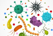 microbiome bacterial species
