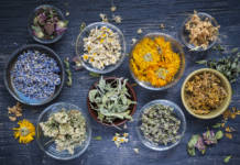 Herbs botanicals dried in bowls on a table