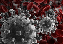New pandemia in China, very dangerous corona virus spread the world