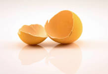 Empty egg shells after the chicken has hatched and left, isolated on a white background