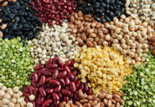 Various Legumes, colorful beans top view