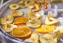 Apple and orange chips cooked in a dehydrator, close-up. The theme of healthy eating
