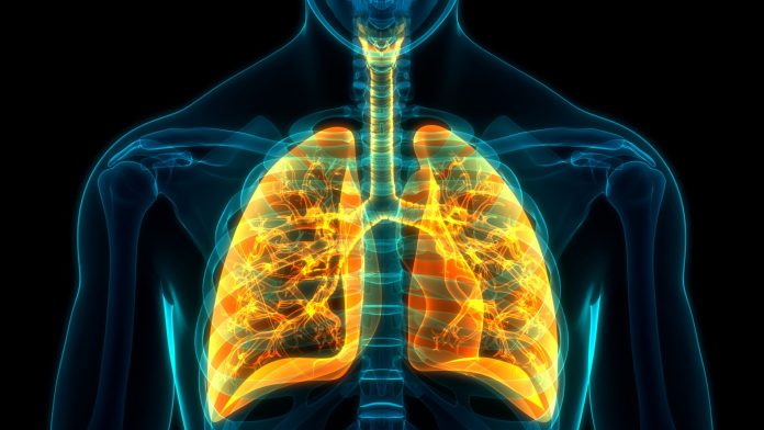 Study Elucidates Connection Between Vitamin K2 and Healthy Lungs