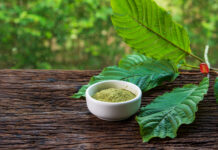 Mitragynina speciosa or Kratom leaves with powder product in white ceramic bowl on wood table and blurred nature background