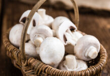 Fresh white Mushrooms on vintage wooden background