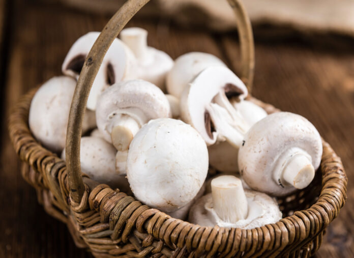 Fresh white Mushrooms on vintage wooden background