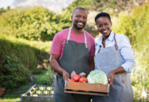 Portrait of happy black farmer couple holding a crate of bio vegetables in the farm. Smiling african man and mature woman showing box of vegetables and looking at camera. Satisfied farmers holding a basket of harvested vegetables.