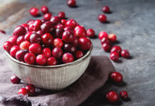 Red berries on a dark background. cranberries in a bowl