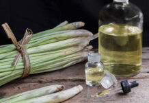 Lemongrass (Cymbopogon citratus) and Citronella oil in glass bottle and glass dropper on wood table background.