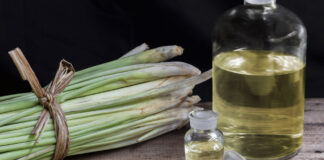 Lemongrass (Cymbopogon citratus) and Citronella oil in glass bottle and glass dropper on wood table background.