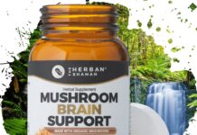 mushroom supplement for brain support