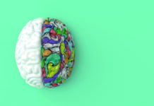 3d brain rendering illustration template background. The concept of intelligence, brainstorm, creative idea, human mind, artificial intelligence.