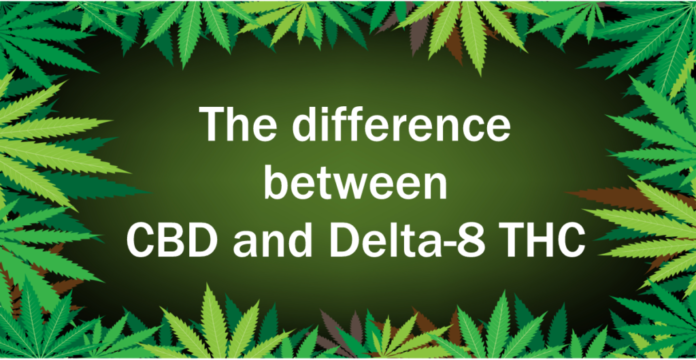 CBD vs. Delta-8 THC
