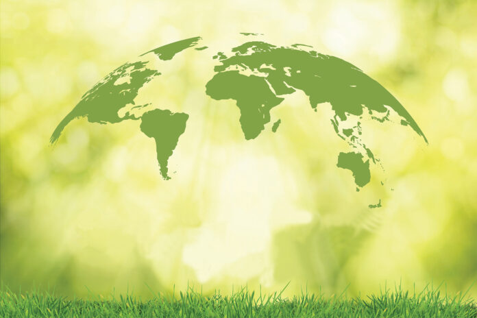 Sustainability world and grass