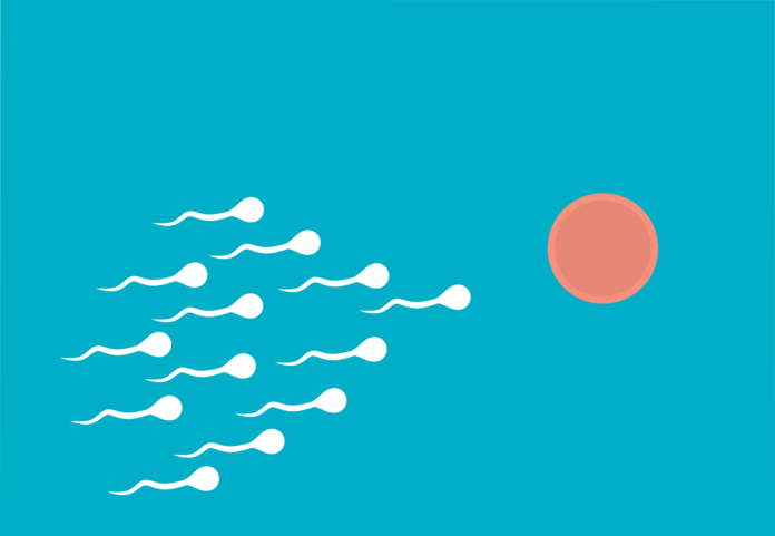 Fertilization sperm microbiota